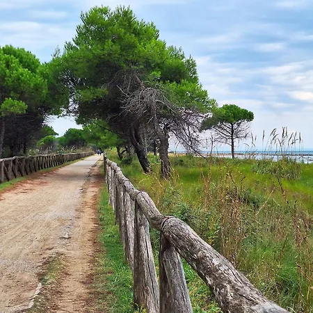 Pinewood Serenity Just 100mt From The Bibione